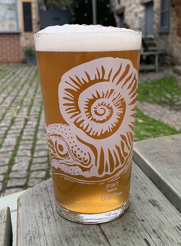 Ammonite Pint 1