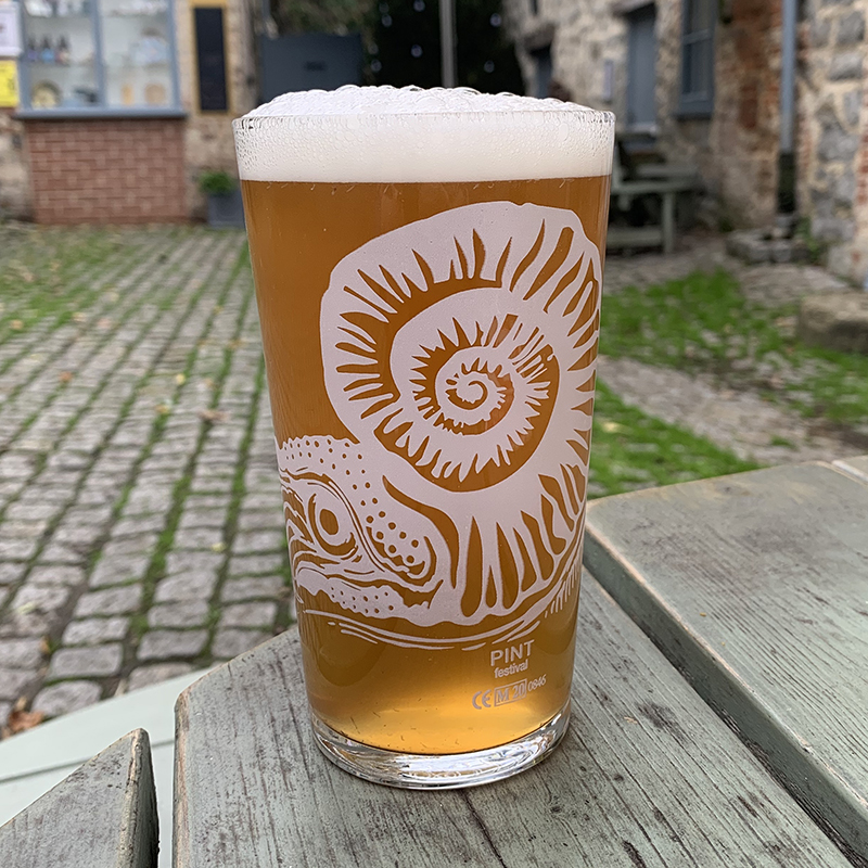 Ammonite Pint 1