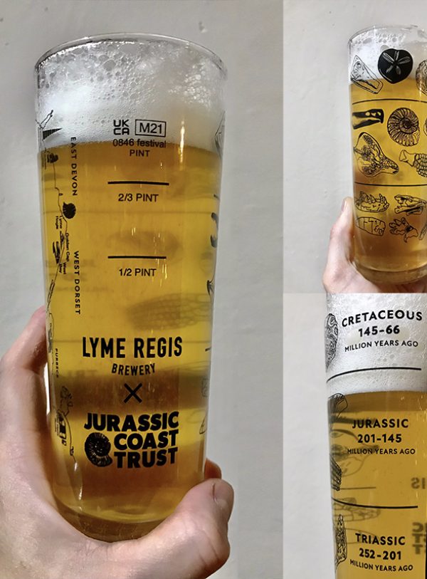 Jurassic_coast_pint1